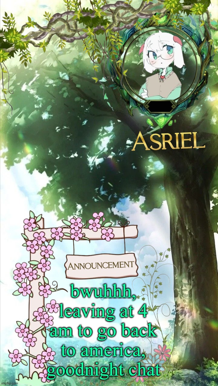 asriel's forest template | bwuhhh, leaving at 4 am to go back to america, goodnight chat | image tagged in asriel's forest template | made w/ Imgflip meme maker