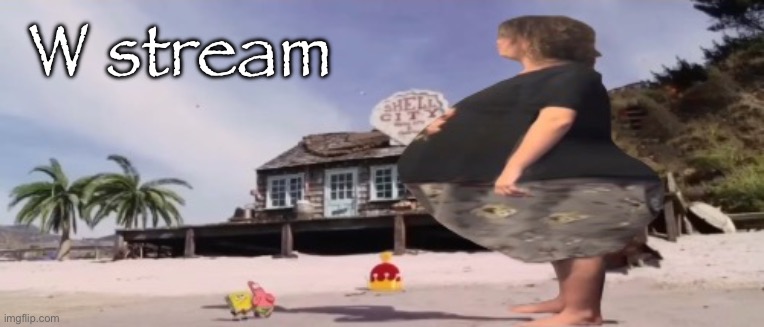 #freevama | W stream | image tagged in wide load | made w/ Imgflip meme maker