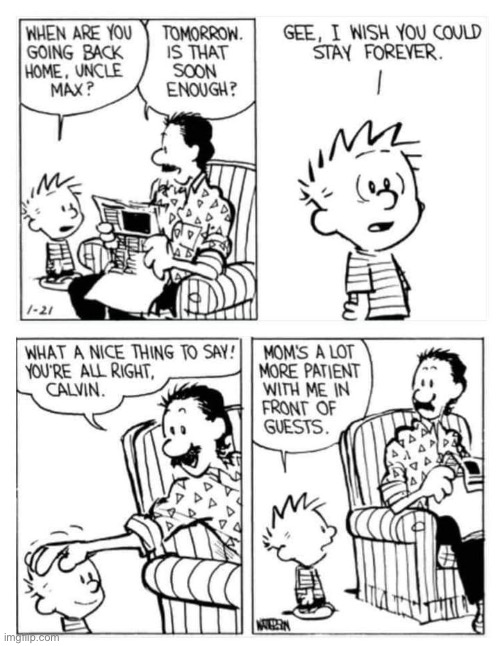 Calvin and Uncle Max finally connect… sort of… | image tagged in calvin and hobbes,comics,uncle max,wish you could stay | made w/ Imgflip meme maker