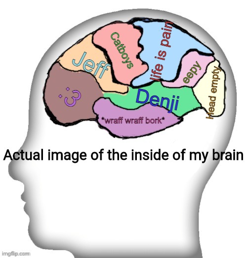 . | life is pain; Catboys; Jeff; eepy; :3; Head empty; Denji; *wraff wraff bork* | image tagged in actual image of the inside of my brain | made w/ Imgflip meme maker