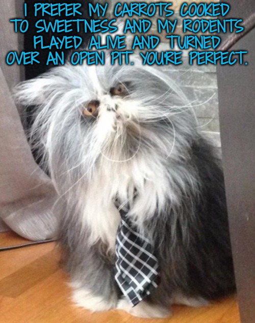 What the? | I PREFER MY CARROTS COOKED TO SWEETNESS AND MY RODENTS FLAYED ALIVE AND TURNED OVER AN OPEN PIT. YOU'RE PERFECT. | image tagged in what the | made w/ Imgflip meme maker