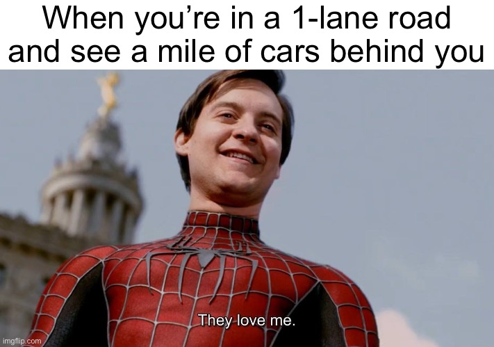 They Love Me | When you’re in a 1-lane road and see a mile of cars behind you | image tagged in they love me | made w/ Imgflip meme maker