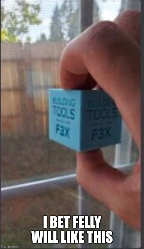 F3X | I BET FELLY WILL LIKE THIS | image tagged in tools f3x meme | made w/ Imgflip meme maker