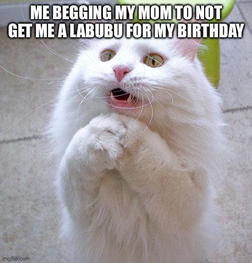 Labubus are ugly | ME BEGGING MY MOM TO NOT GET ME A LABUBU FOR MY BIRTHDAY | image tagged in begging cat,labubu,ugly,birthday,memes | made w/ Imgflip meme maker