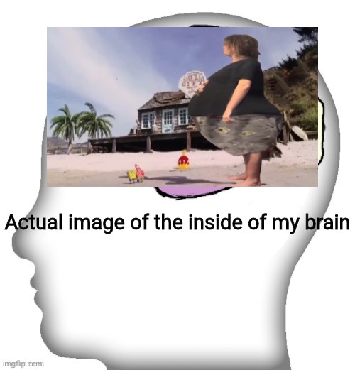 Actual image of the inside of my brain | image tagged in actual image of the inside of my brain | made w/ Imgflip meme maker