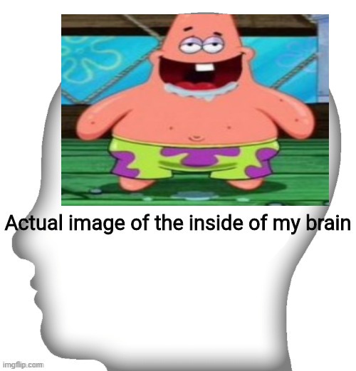 Actual image of the inside of my brain | image tagged in actual image of the inside of my brain | made w/ Imgflip meme maker