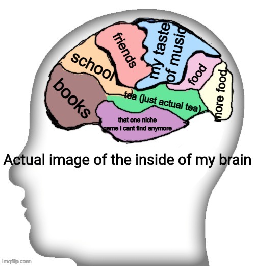 yay | my taste of music; friends; school; food; books; more food; tea (just actual tea); that one niche game i cant find anymore | image tagged in actual image of the inside of my brain | made w/ Imgflip meme maker