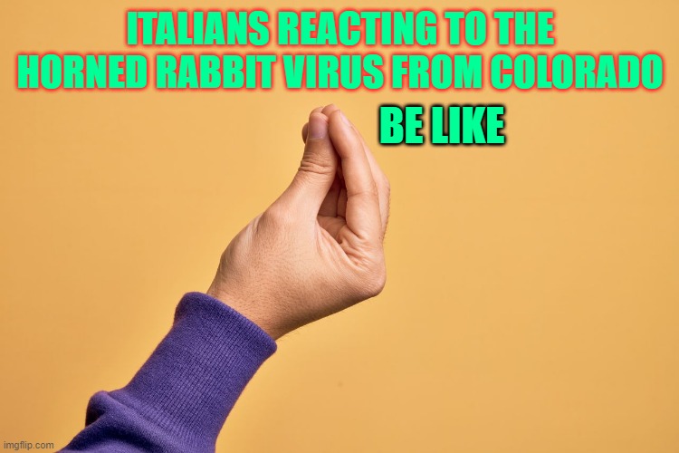 oh my god my american friends... what is happening to your rabbits?? | ITALIANS REACTING TO THE HORNED RABBIT VIRUS FROM COLORADO; BE LIKE | made w/ Imgflip meme maker
