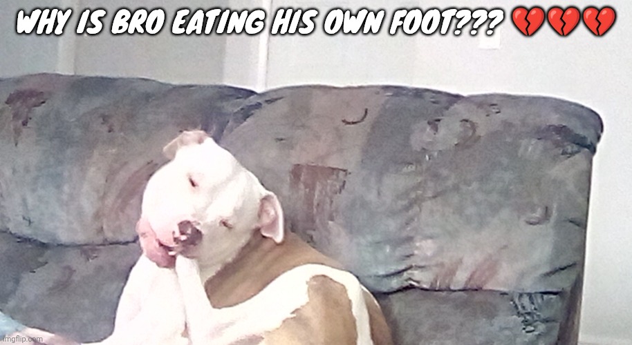 WHY IS BRO EATING HIS OWN FOOT??? 💔💔💔 | made w/ Imgflip meme maker