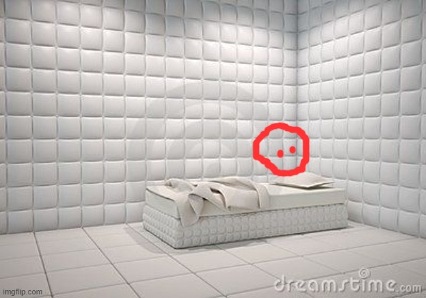 insane asylum pillow room | image tagged in insane asylum pillow room | made w/ Imgflip meme maker