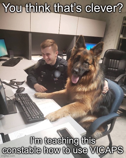 Instructor doggo | You think that’s clever? I’m teaching this constable how to use VICAPS | image tagged in k9 report,dog,dogs,teacher | made w/ Imgflip meme maker