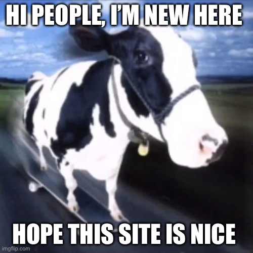 shreddin it | HI PEOPLE, I’M NEW HERE; HOPE THIS SITE IS NICE | image tagged in shreddin it | made w/ Imgflip meme maker
