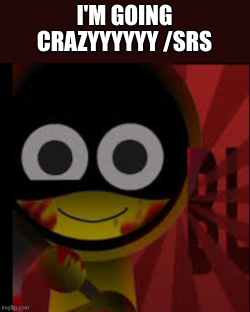 so yeah | I'M GOING CRAZYYYYYY /SRS | image tagged in jevin 2p again | made w/ Imgflip meme maker