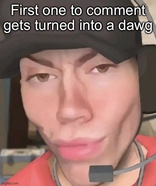 Irl scout | First one to comment gets turned into a dawg | image tagged in irl scout | made w/ Imgflip meme maker