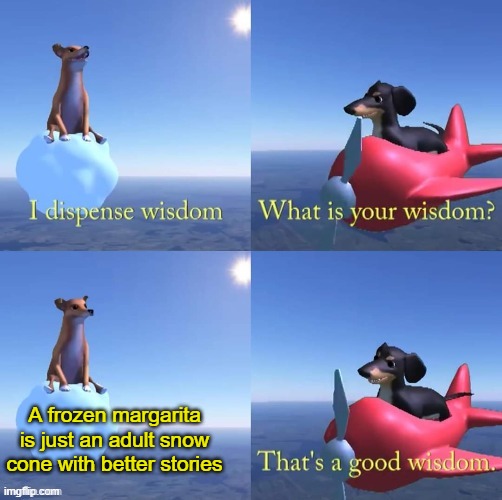 Margaritas, am I right? | A frozen margarita is just an adult snow cone with better stories | image tagged in wisdom dog,margarita,funny,lol | made w/ Imgflip meme maker