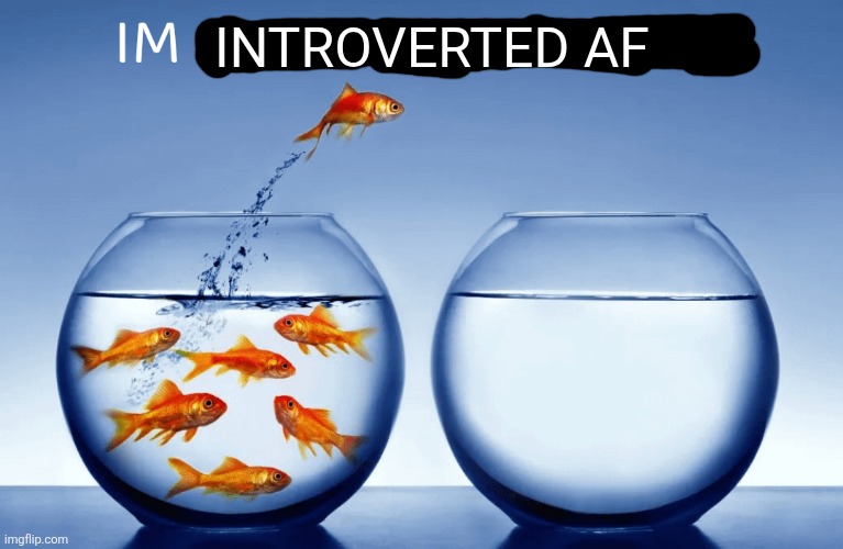 I’m nothin like yall | INTROVERTED AF | image tagged in i m nothin like yall | made w/ Imgflip meme maker