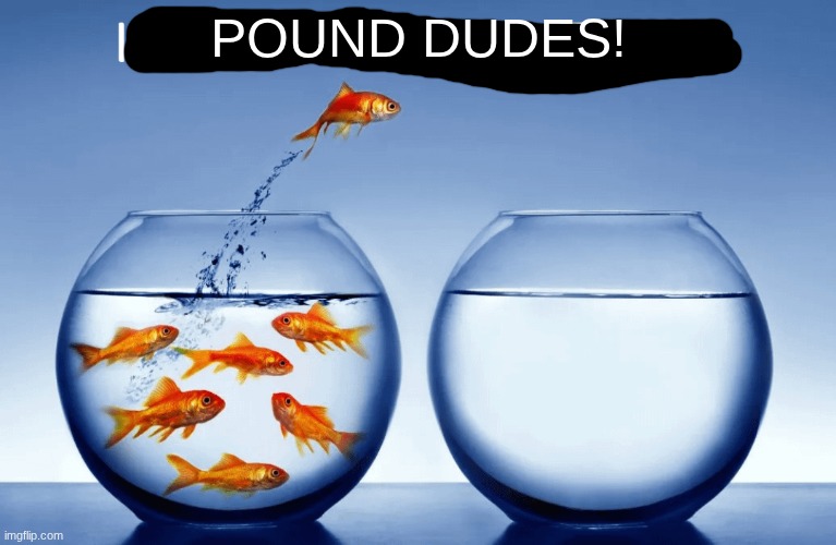 I’m nothin like yall | POUND DUDES! | image tagged in i m nothin like yall | made w/ Imgflip meme maker