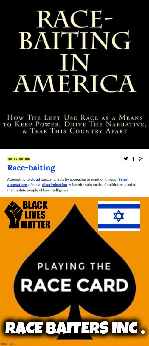 Race baiting meme | RACE BAITERS INC . | image tagged in racism | made w/ Imgflip meme maker
