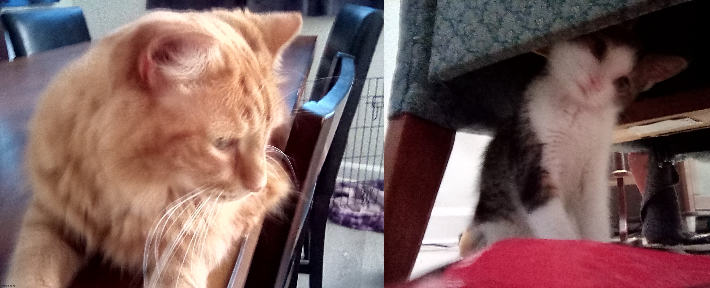 Johnny and bowie | made w/ Imgflip meme maker