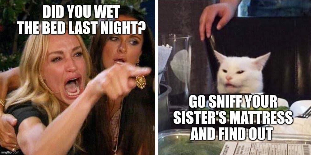 Smudge that darn cat with Karen | DID YOU WET THE BED LAST NIGHT? GO SNIFF YOUR SISTER'S MATTRESS AND FIND OUT | image tagged in smudge that darn cat with karen | made w/ Imgflip meme maker