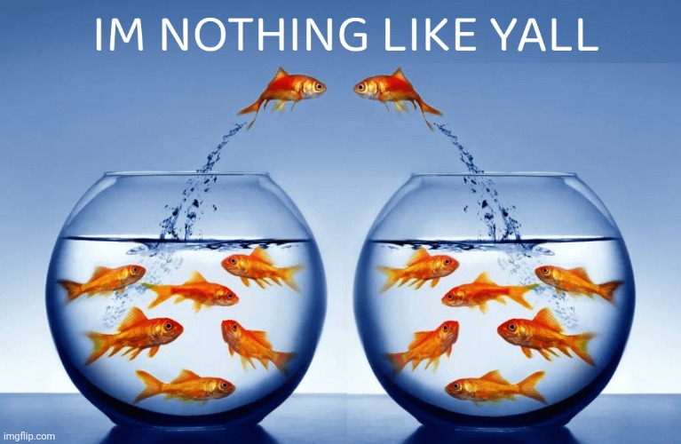 I’m nothin like yall | image tagged in i m nothin like yall | made w/ Imgflip meme maker