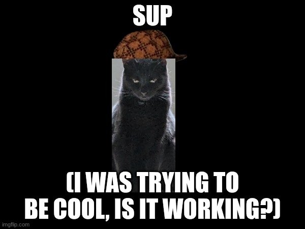 emo cat | SUP; (I WAS TRYING TO BE COOL, IS IT WORKING?) | image tagged in grumpy cat | made w/ Imgflip meme maker