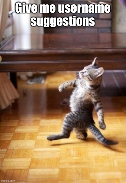 Cool Cat Stroll | Give me username suggestions | image tagged in memes,cool cat stroll | made w/ Imgflip meme maker