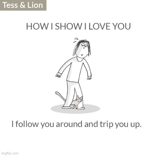 Truth… | image tagged in cats,comics/cartoons,tess and lion,show my love,trip you up | made w/ Imgflip meme maker