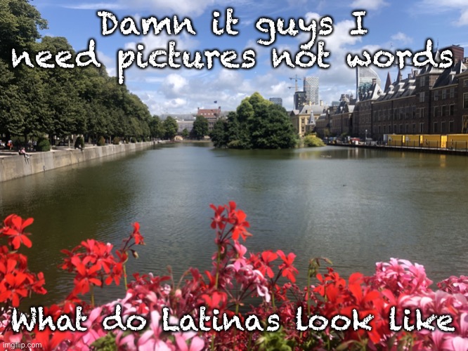 Roses | Damn it guys I need pictures not words; What do Latinas look like | image tagged in roses | made w/ Imgflip meme maker