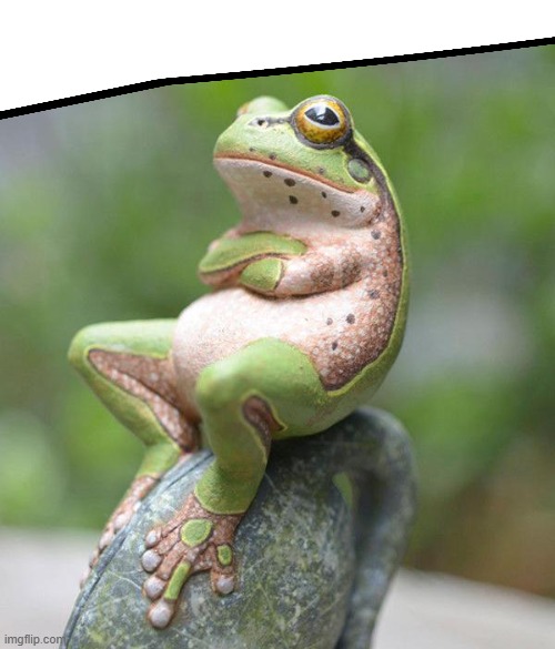 nah frog | image tagged in nah frog | made w/ Imgflip meme maker