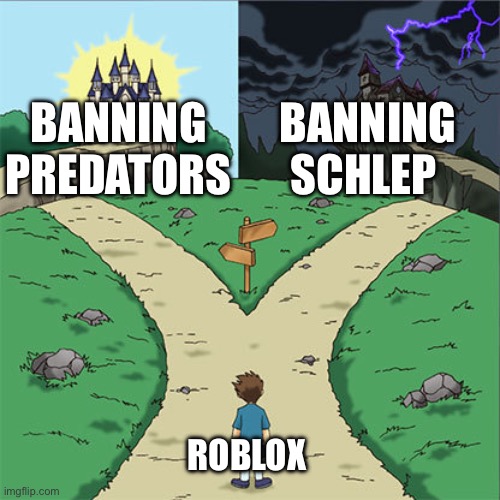 Two Paths | BANNING PREDATORS; BANNING SCHLEP; ROBLOX | image tagged in two paths | made w/ Imgflip meme maker