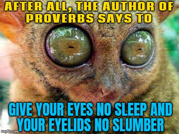 Give no sleep to your eyes, no slumber to your eyelids. | AFTER ALL, THE AUTHOR OF
PROVERBS SAYS TO; GIVE YOUR EYES NO SLEEP AND
YOUR EYELIDS NO SLUMBER | image tagged in no sleep for lemur,bible verse of the day,message bible,holy bible,anti-religion,religion | made w/ Imgflip meme maker
