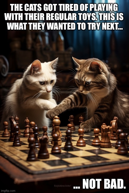 They’re both pretty good… | THE CATS GOT TIRED OF PLAYING 
WITH THEIR REGULAR TOYS. THIS IS 
WHAT THEY WANTED TO TRY NEXT…; … NOT BAD. | image tagged in cats,playing chess | made w/ Imgflip meme maker
