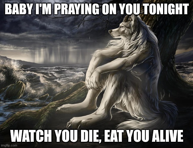 just like animals. animals. just  like animal-als | BABY I'M PRAYING ON YOU TONIGHT; WATCH YOU DIE, EAT YOU ALIVE | image tagged in lone wolf | made w/ Imgflip meme maker