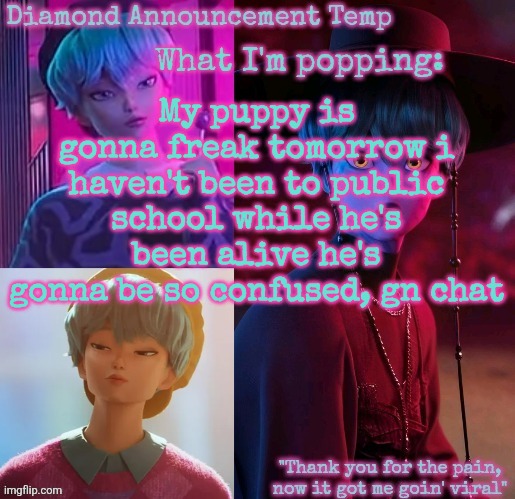 Diamond's Baby Saja Temp | My puppy is gonna freak tomorrow i haven't been to public school while he's been alive he's gonna be so confused, gn chat | image tagged in diamond's baby saja temp | made w/ Imgflip meme maker