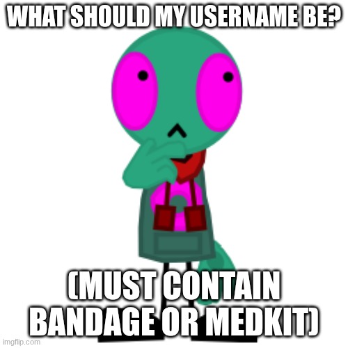 thoughts? | WHAT SHOULD MY USERNAME BE? (MUST CONTAIN BANDAGE OR MEDKIT) | image tagged in thinking fersquall | made w/ Imgflip meme maker