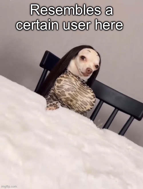 Resembles a certain user here | made w/ Imgflip meme maker