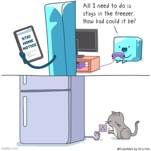 image tagged in ice cube,stay at home,video games,freezer,cat,unplug | made w/ Imgflip meme maker
