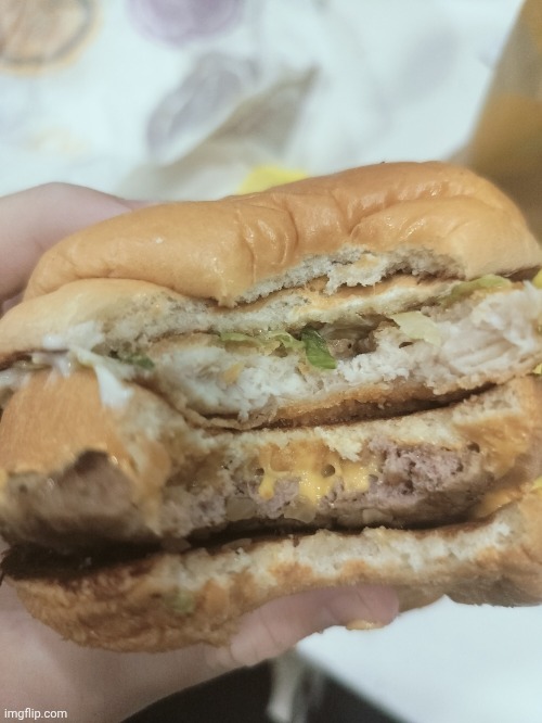 i ate the mcgangbang | image tagged in mcgangbang | made w/ Imgflip meme maker