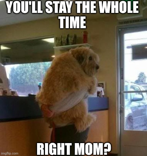 You'll Stay The Whole Time Right Mom? | YOU'LL STAY THE WHOLE 
TIME; RIGHT MOM? | image tagged in chrisjoines1 | made w/ Imgflip meme maker