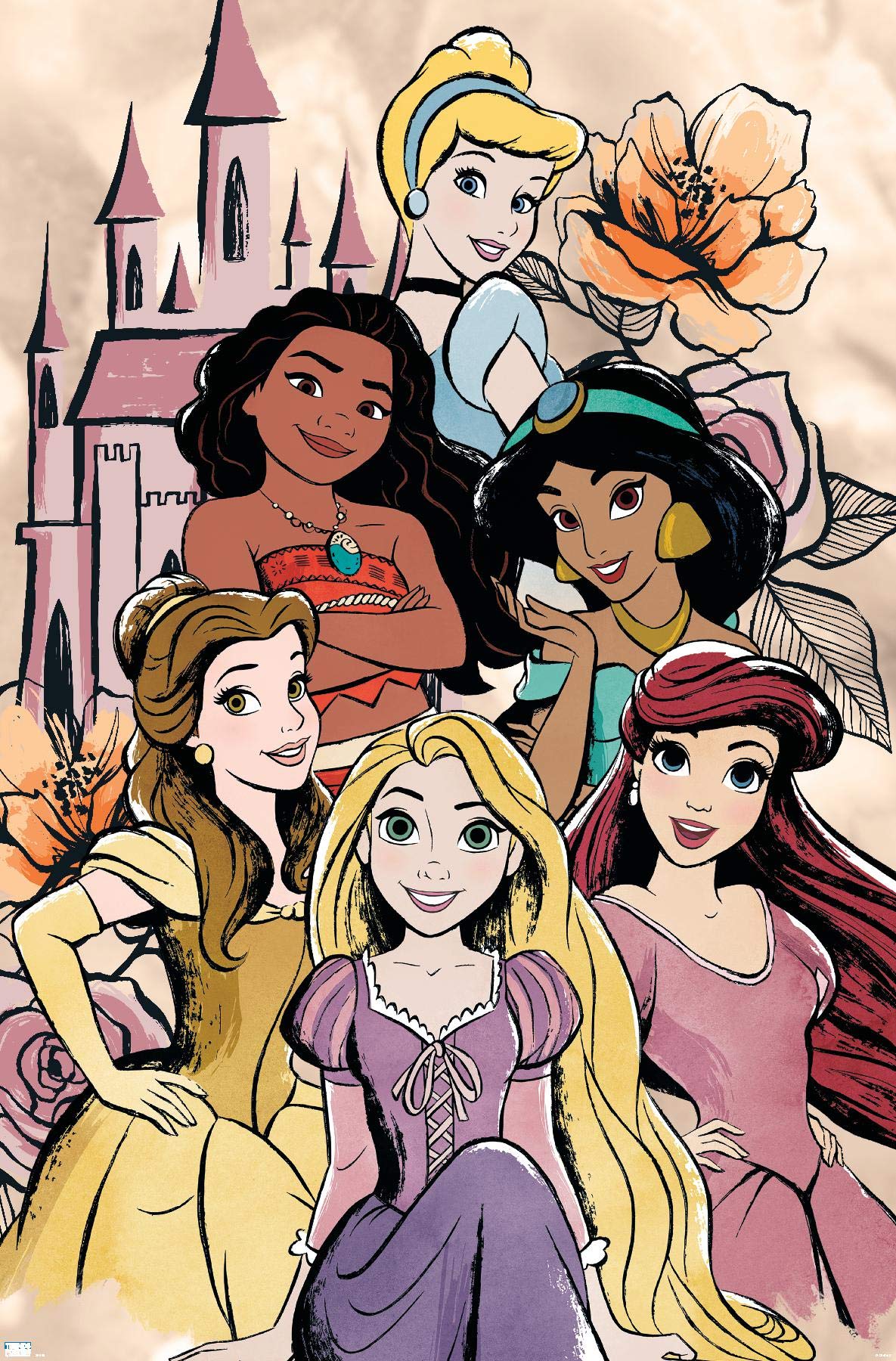 Disney Princess Poster Blank Meme Template
