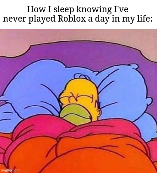 Homer Simpson sleeping peacefully | How I sleep knowing I've never played Roblox a day in my life: | image tagged in homer simpson sleeping peacefully | made w/ Imgflip meme maker