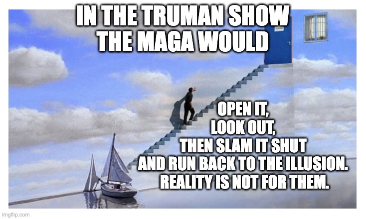 Reality scares Maga | IN THE TRUMAN SHOW
THE MAGA WOULD; OPEN IT, 
LOOK OUT, 
THEN SLAM IT SHUT 
AND RUN BACK TO THE ILLUSION. 
REALITY IS NOT FOR THEM. | image tagged in truman show - finding the door | made w/ Imgflip meme maker