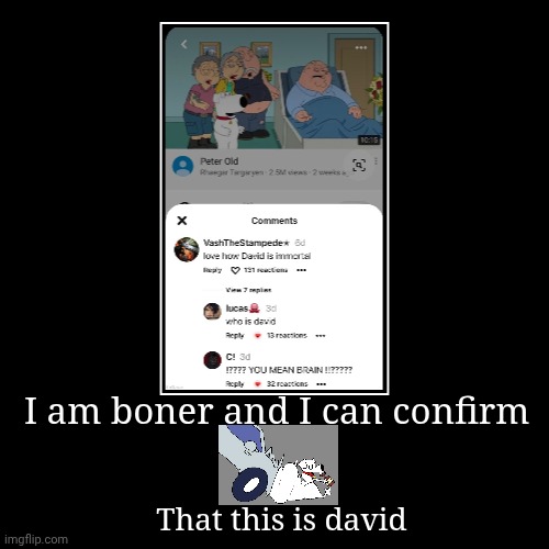 I am boner and I can confirm | That this is david | image tagged in funny,demotivationals | made w/ Imgflip demotivational maker