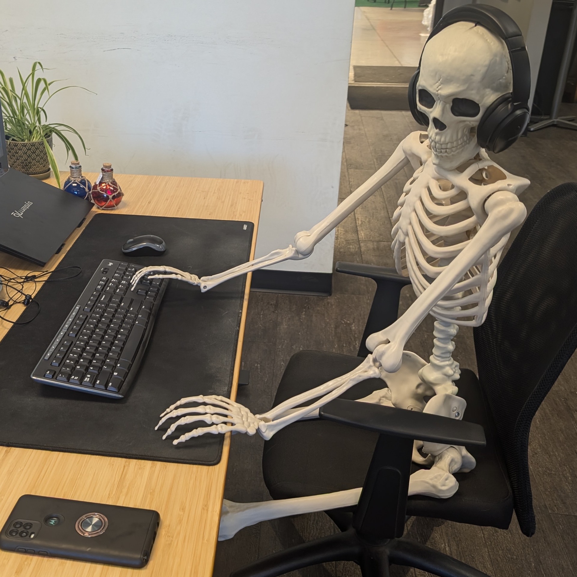 Skull attendant Blank Meme Template