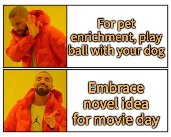 No - Yes | For pet enrichment, play ball with your dog Embrace novel idea for movie day | image tagged in no - yes | made w/ Imgflip meme maker
