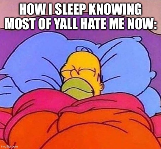 Dont even try to deny it. | HOW I SLEEP KNOWING MOST OF YALL HATE ME NOW: | image tagged in homer simpson sleeping peacefully,ralsei of topic | made w/ Imgflip meme maker