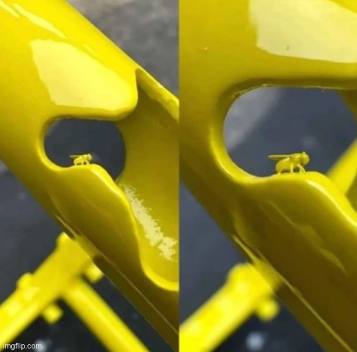 dumbass got himself trapped | image tagged in fly,paint | made w/ Imgflip meme maker