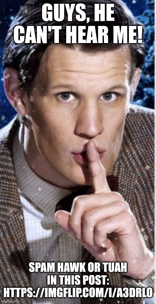 Shush | GUYS, HE CAN'T HEAR ME! SPAM HAWK OR TUAH IN THIS POST: HTTPS://IMGFLIP.COM/I/A3DRLO | image tagged in shush | made w/ Imgflip meme maker