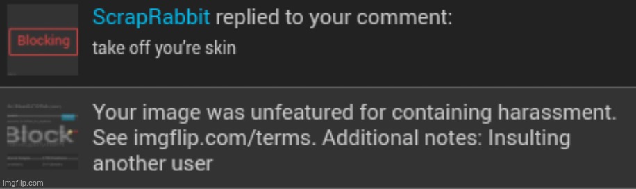 absolute justice, this racist guy insulted me but i get smited for calling him out. scrap thank u for advice | image tagged in mod abuse,funny | made w/ Imgflip meme maker